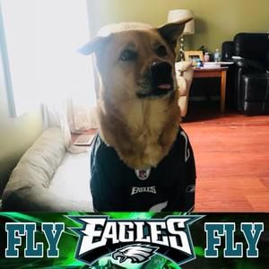 Meet your Posher, Pat